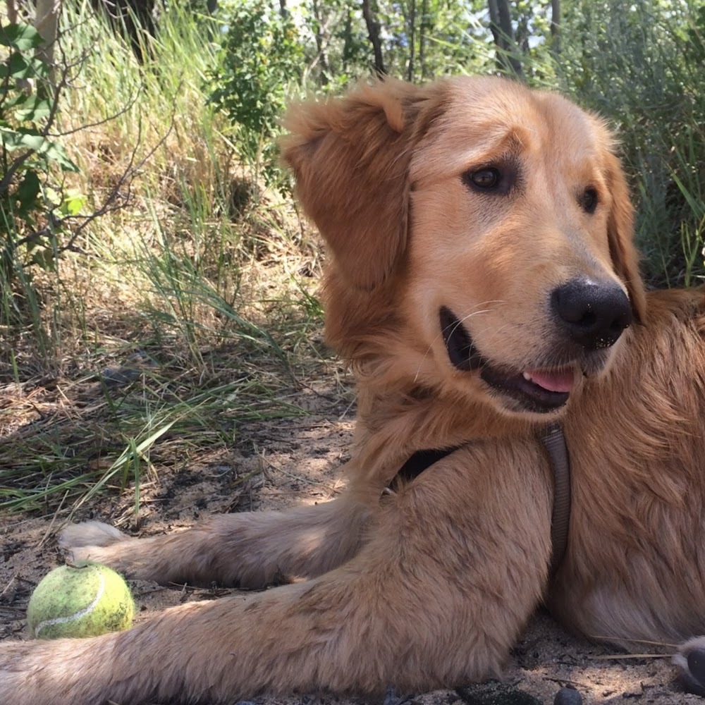 Meet your Posher, Halle